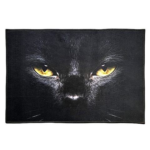 Weltbild Fussmatte Katze - Türmatte mit Katzen-Print 40 x 60 cm, Fußmatte Innen Haustür, rutschfest und waschbar, Katzenmotiv, Fussabtreter Katze, Schmutzfangmatte Katze