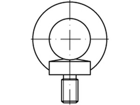 Ringschraube DIN 580 M48 C15E blank – Hochwertige Hebeöse - Neu