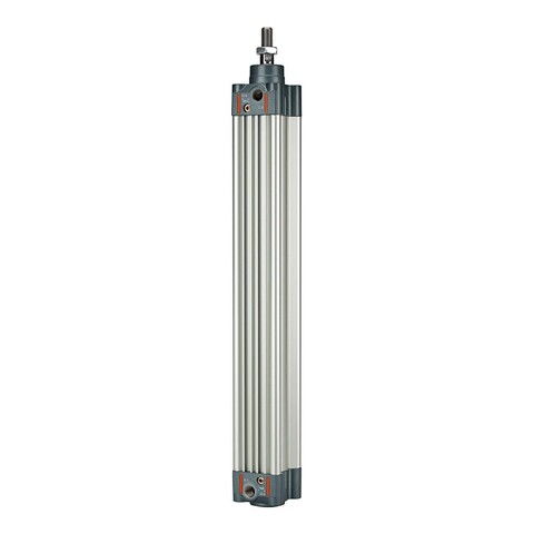 RIEGLER Normzylinder doppeltwirkend Magnet Kolben-Ø 125 Hub 100 G 1/2 - Neu