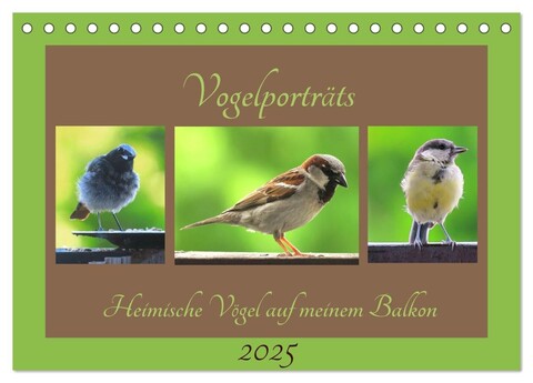 Vogelporträts - Heimische Vögel auf meinem Balkon (Tischkalender 2025 DIN A5 quer), CALVENDO Monatskalender